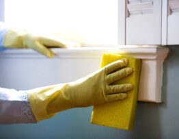 Mold Treatment Service Calgary