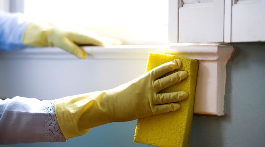 Mold Treatment Service Calgary