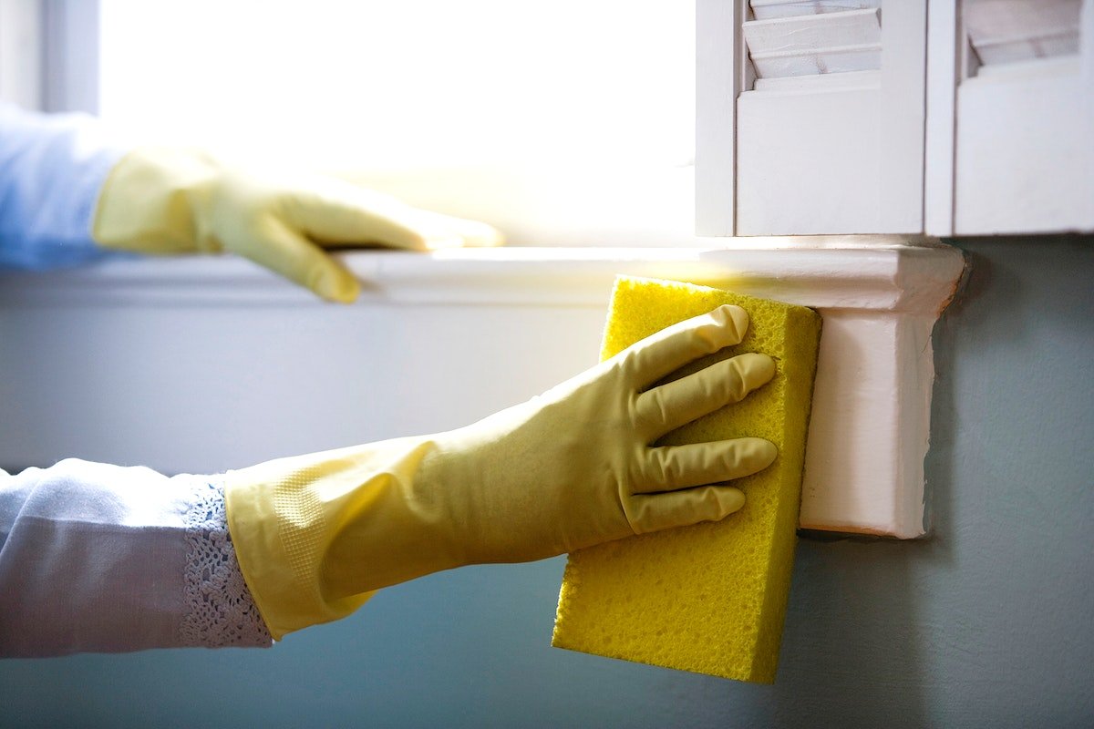 Mold Treatment Service Calgary