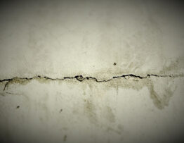 Foundation Crack Repair Professionals in Airdrie