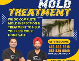 Mold Treatment Service in North East NE Calgary