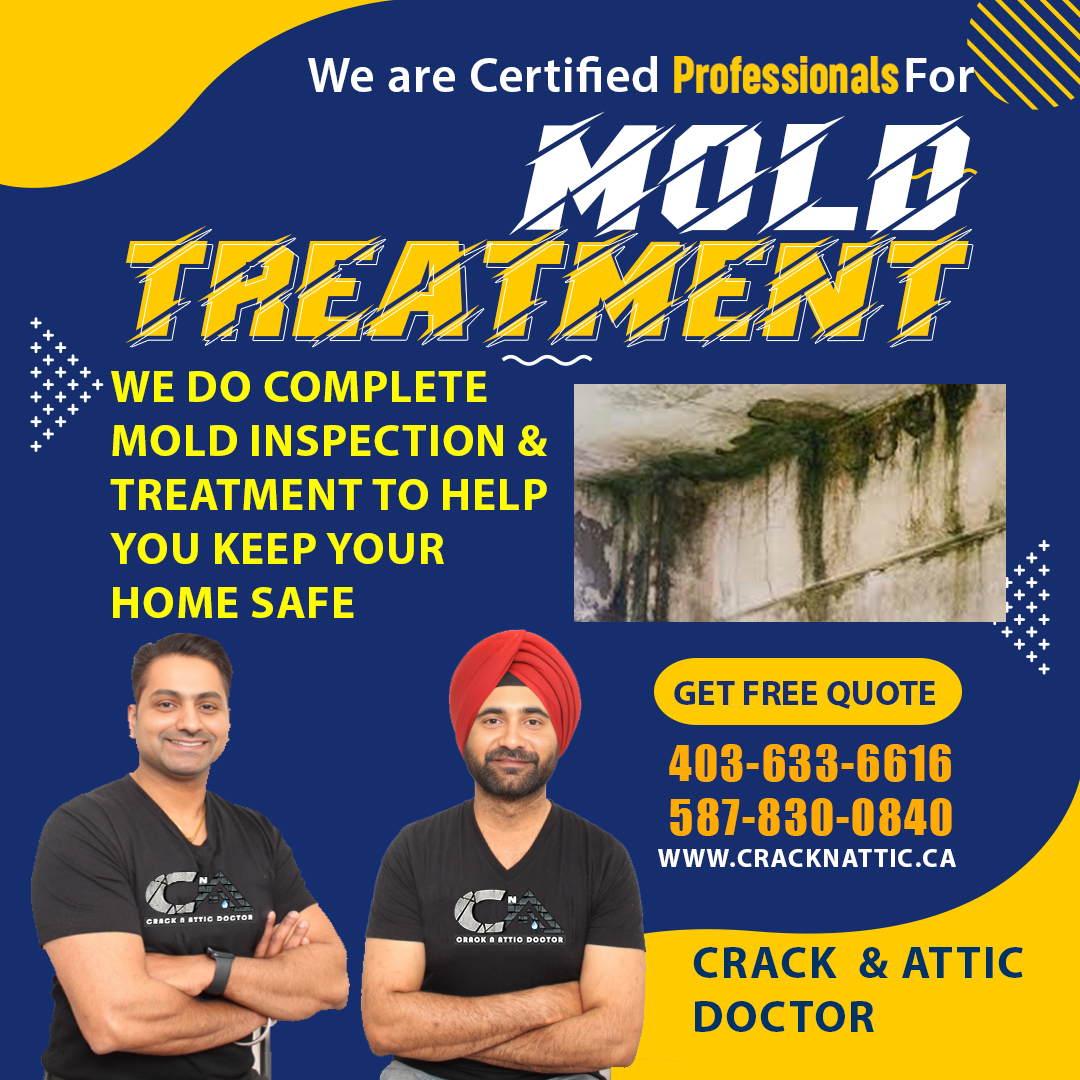 Mold Treatment Service in North East NE Calgary