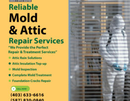 Mold Treatment Service in Chestermere