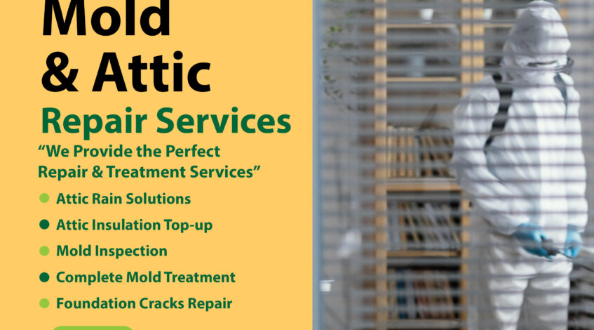 Mold Treatment Service in Chestermere