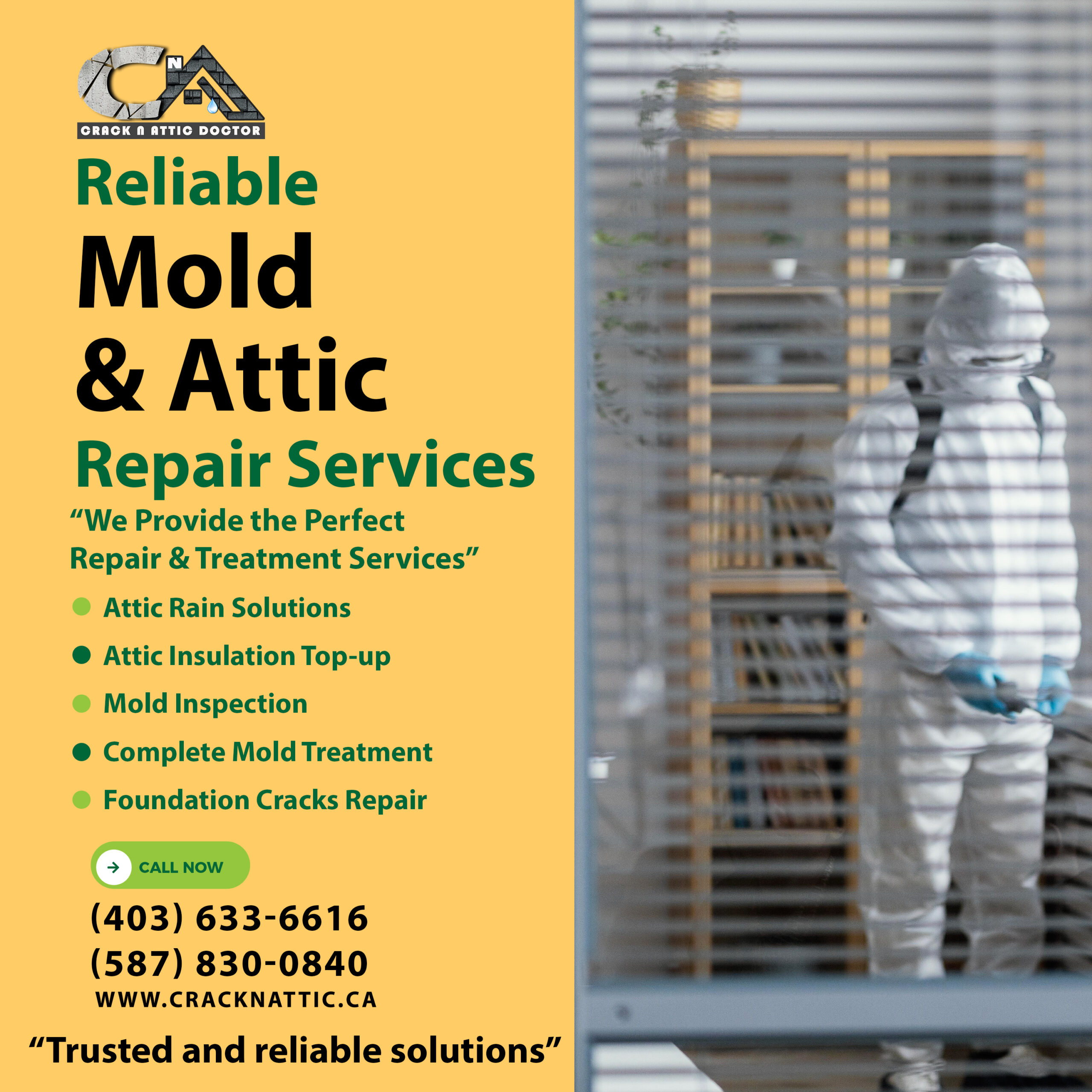 Mold Treatment Service in Chestermere