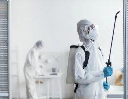 Why DIY Mold Removal Might Be Risky - Trust the Experts in Calgary