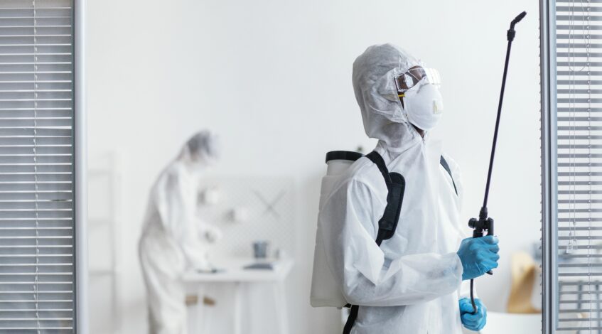 Why DIY Mold Removal Might Be Risky - Trust the Experts in Calgary