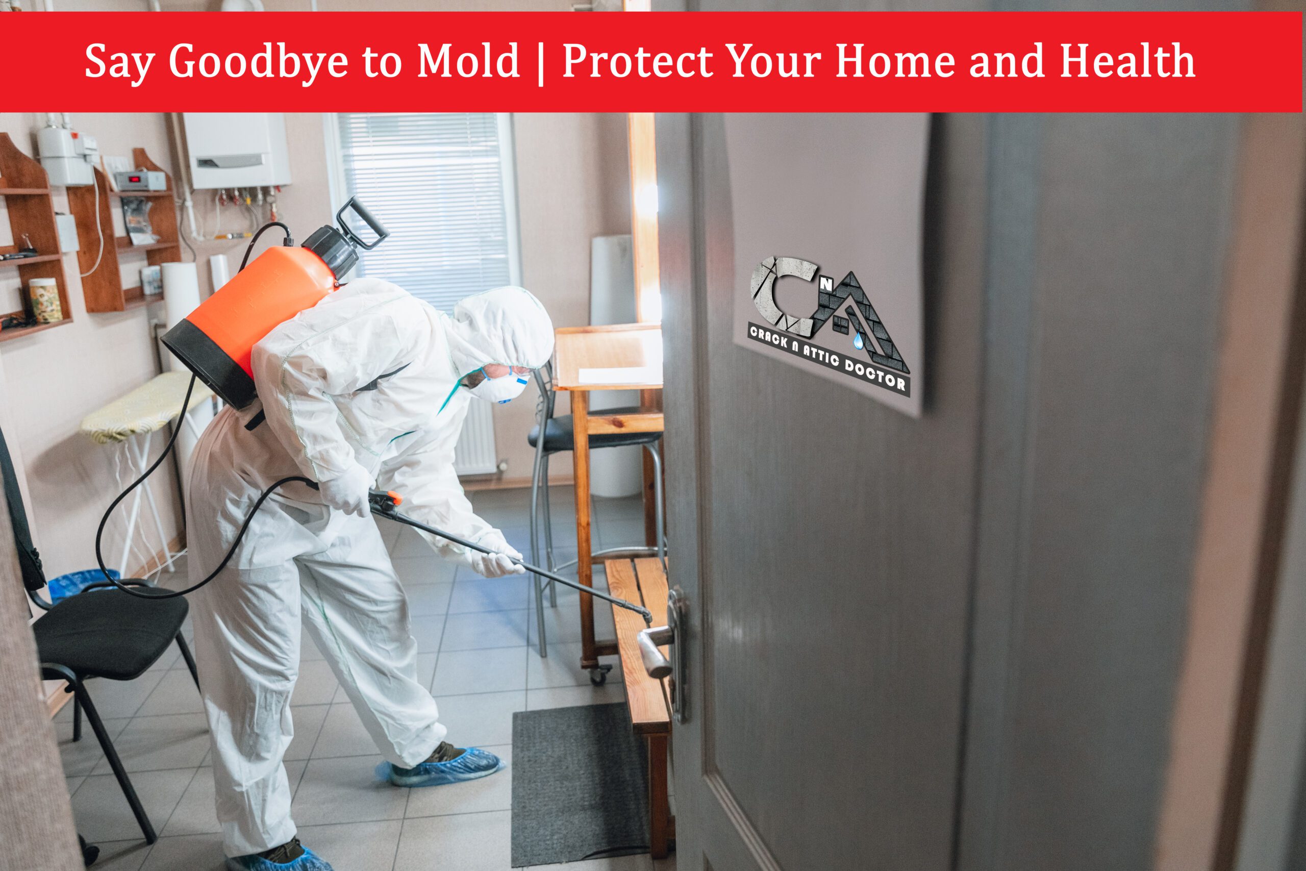 Mold Treatment Calgary 2025