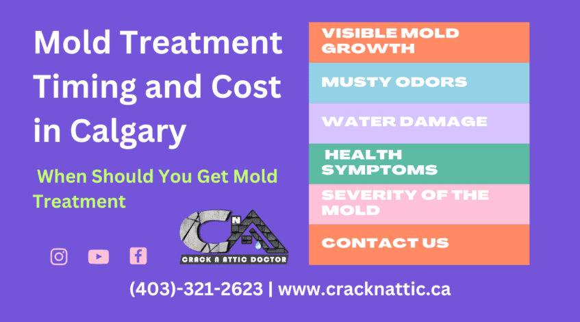 Mold Treatment Timing and Cost in Calgary