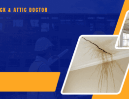 Don’t Ignore These Warning Signs from Your Attic! Calgary Alberta Canada