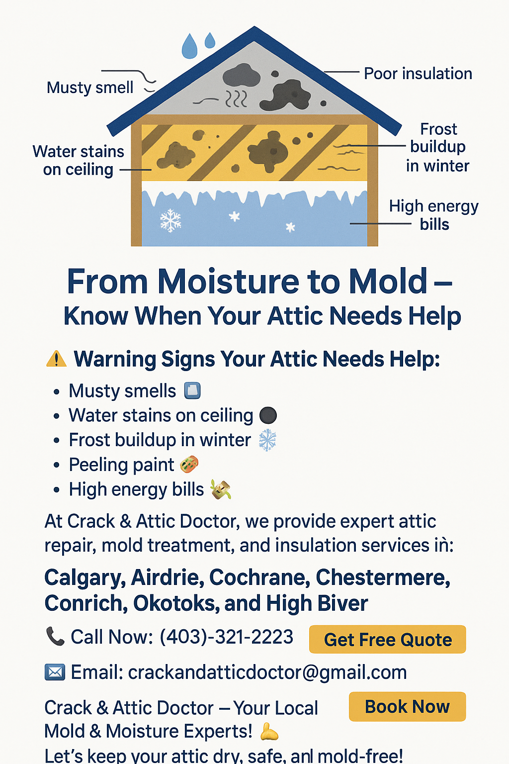 From Moisture to Mold - Know When Your Attic Needs Help Calgary