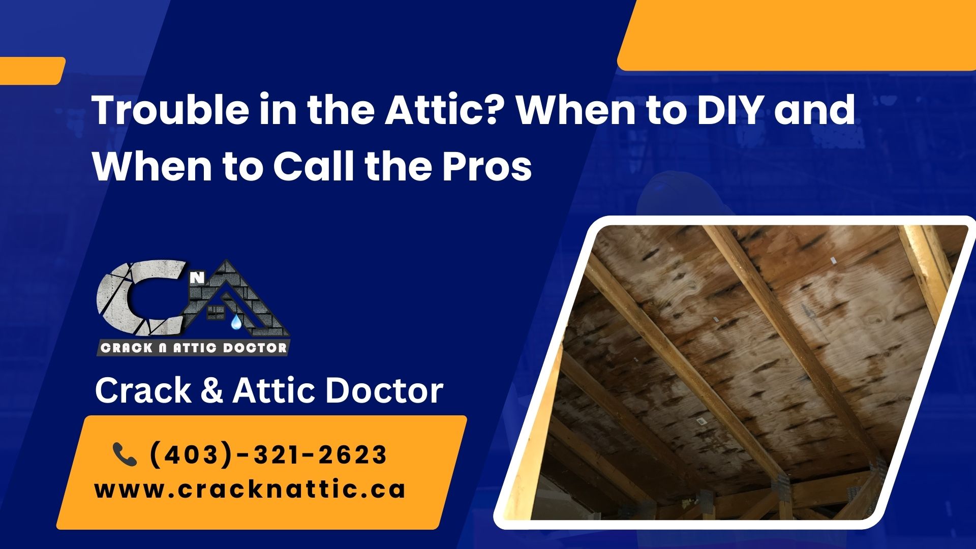 Trouble in the Attic: When to DIY and When to Call the Pros