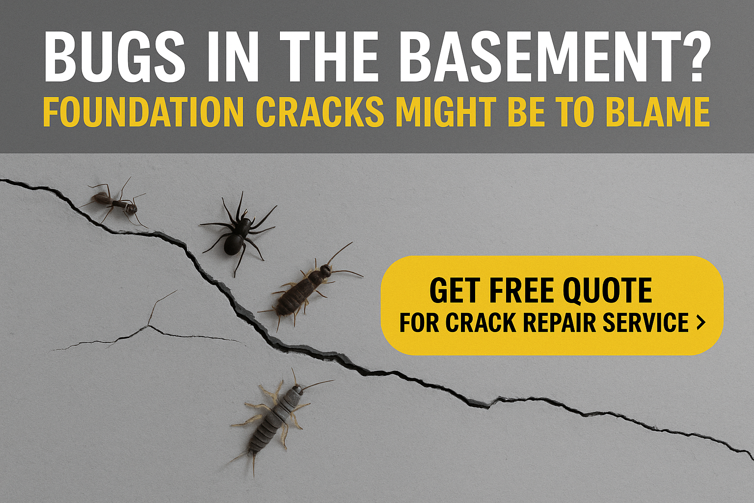 Bugs in the Basement? Foundation Cracks Might Be to Blame!