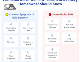 Can Mold Make You Sick? Health Risks Every Homeowner Should Know