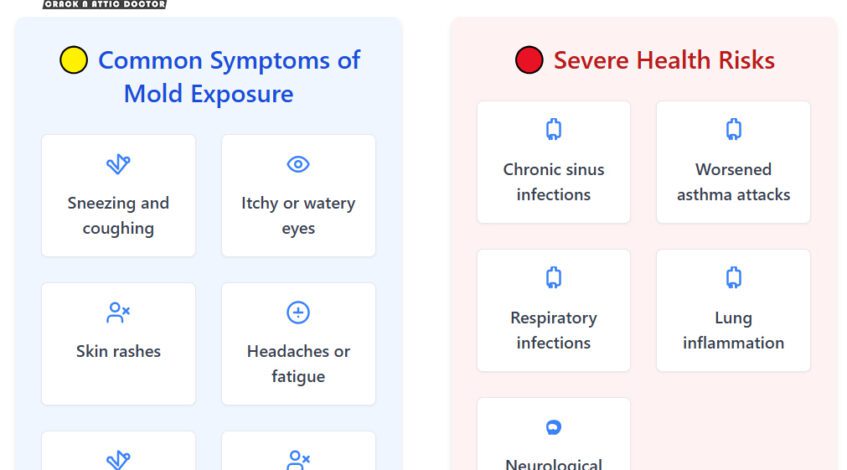 Can Mold Make You Sick? Health Risks Every Homeowner Should Know