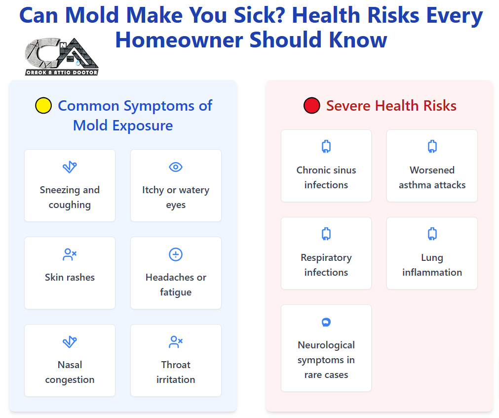 Can Mold Make You Sick? Health Risks Every Homeowner Should Know