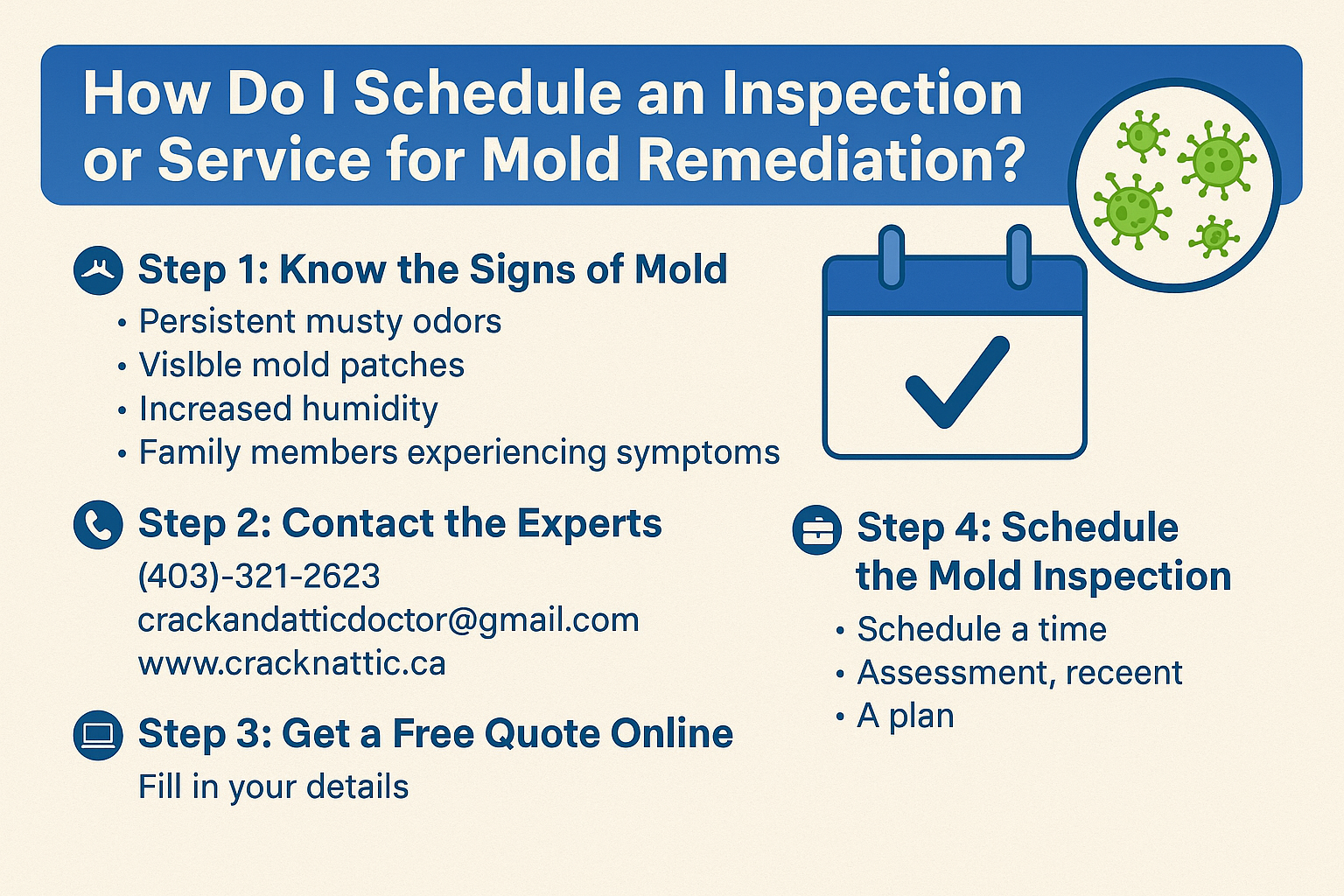 How Do I Schedule an Inspection or Service for Mold Remediation
