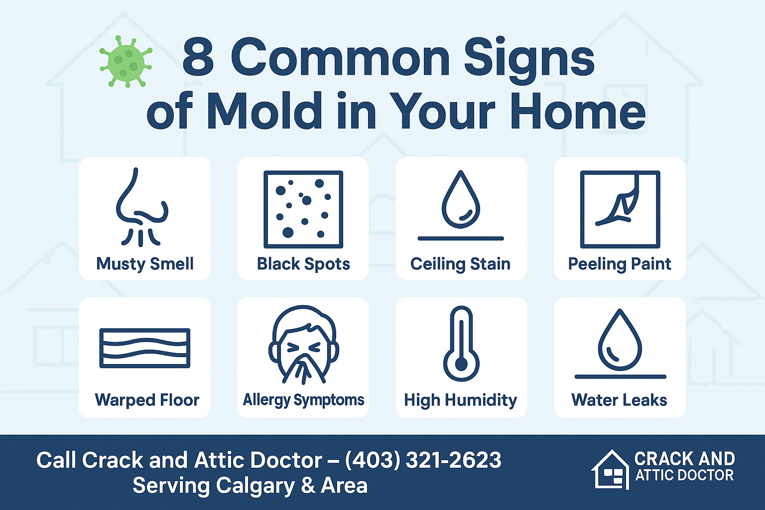 What Are the Signs of Mold in My Home?