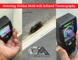 Detecting Hidden Mold with Infrared Thermography in Calgary