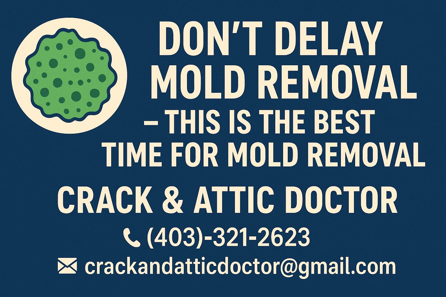 Don’t Delay Mold Removal – This is the Best Time for Mold Removal