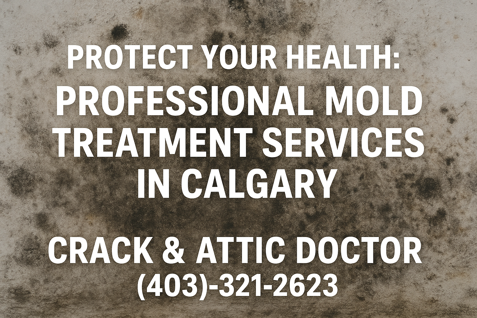Protect Your Health: Professional Mold Treatment Services in Calgary