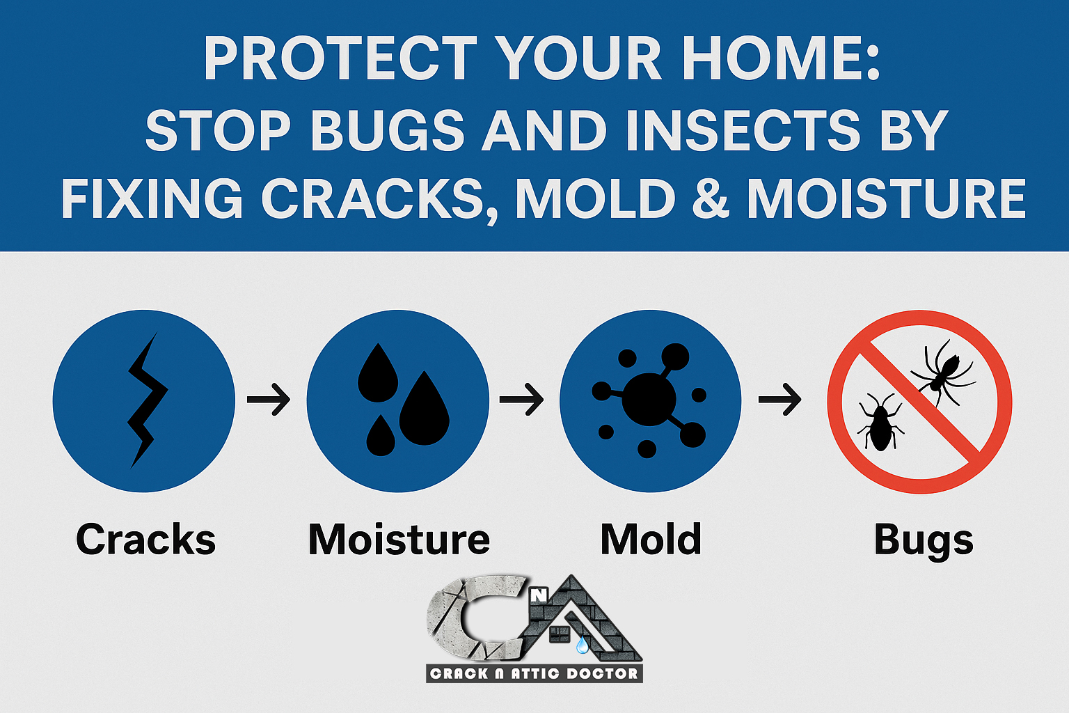 Protect Your Home: Stop Bugs and Insects by Fixing Cracks, Mold & Moisture