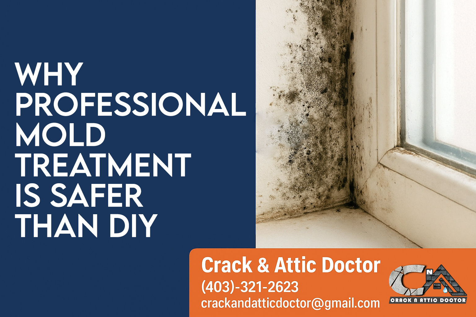 Write on Why Professional Mold Treatment is Safer Than DIY for SEO