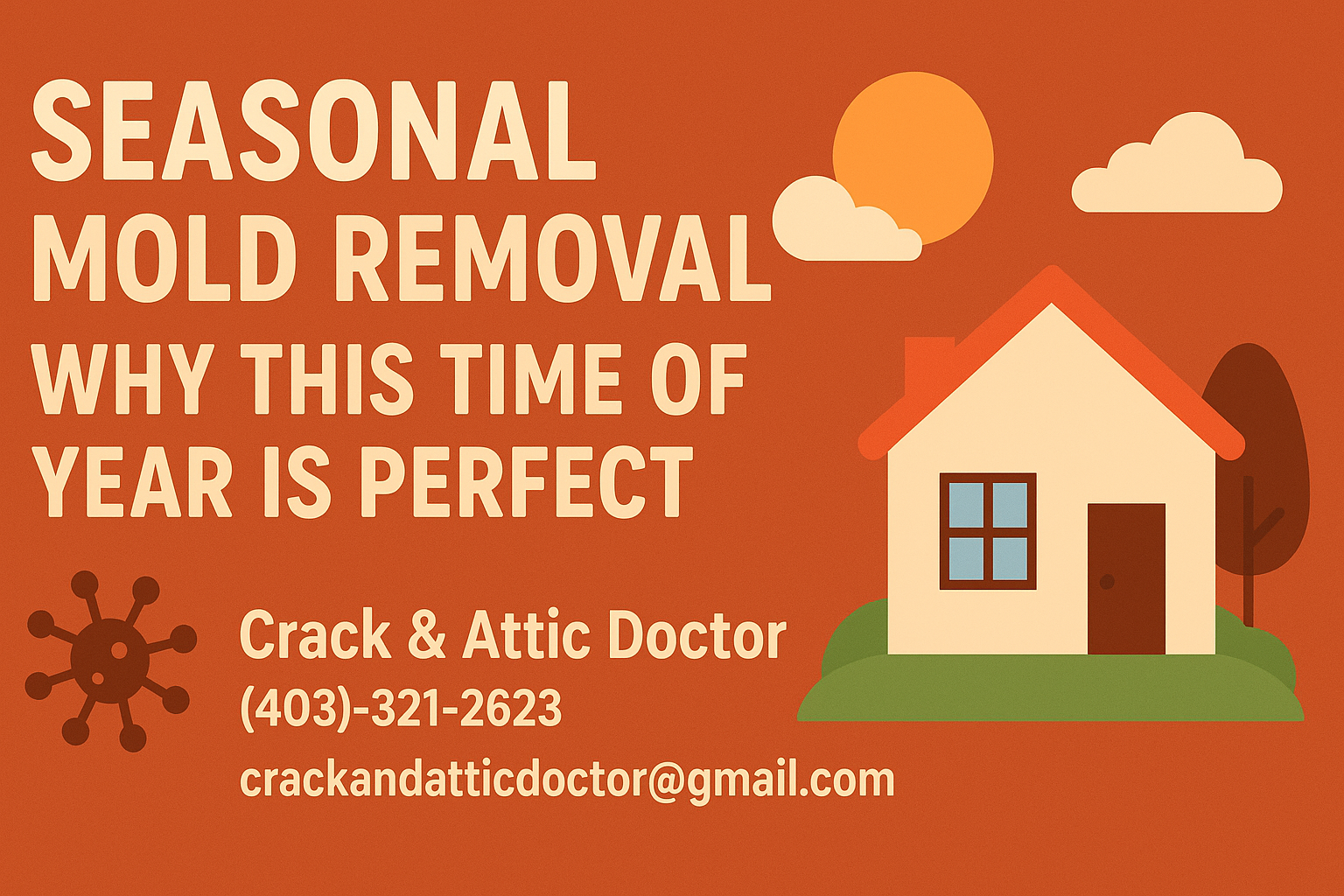 Seasonal Mold Removal: Why This Time of Year is Perfect