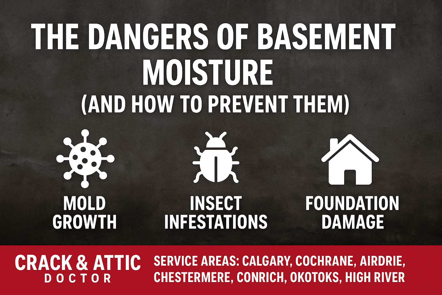 The Dangers of Basement Moisture (and How to Prevent Them)