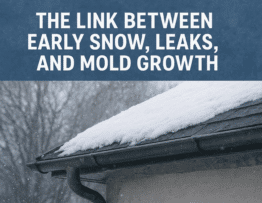 The Link Between Early Snow Leaks and Mold Growth