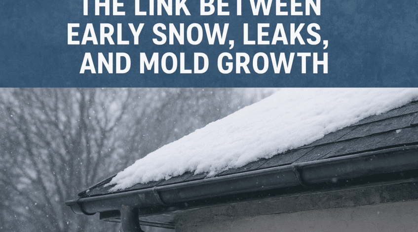 The Link Between Early Snow Leaks and Mold Growth