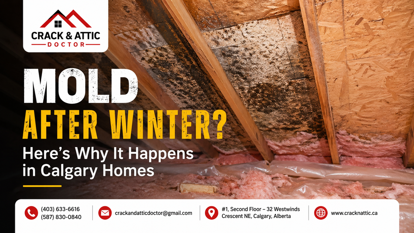 Mold After Winter Here’s Why It Happens in Calgary Homes