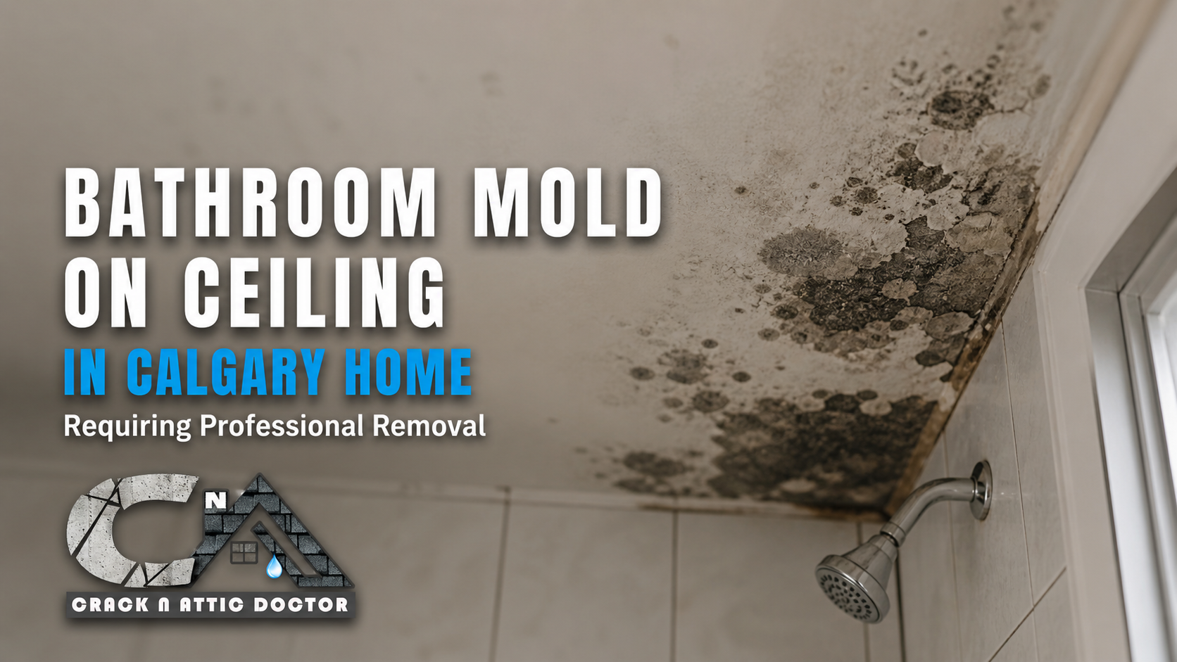 Bathroom Mold in Calgary: How Dangerous Is It & What To Do