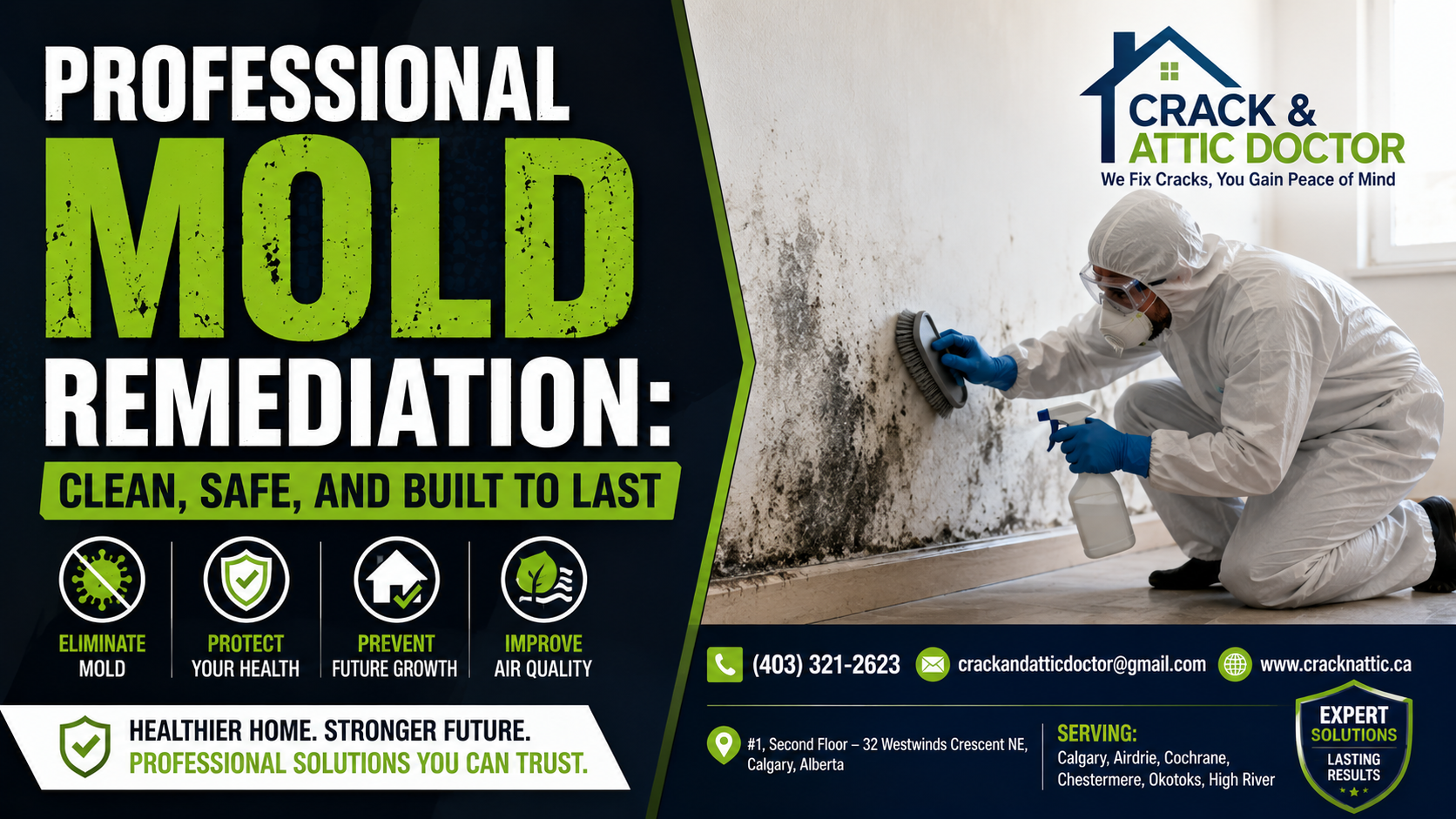 Professional Mold Remediation Clean, Safe, and Built to Last
