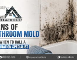Signs of Bathroom Mold and When to Call a Remediation Specialist