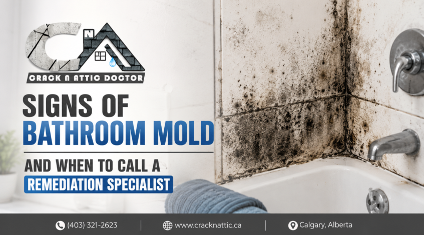 Signs of Bathroom Mold and When to Call a Remediation Specialist