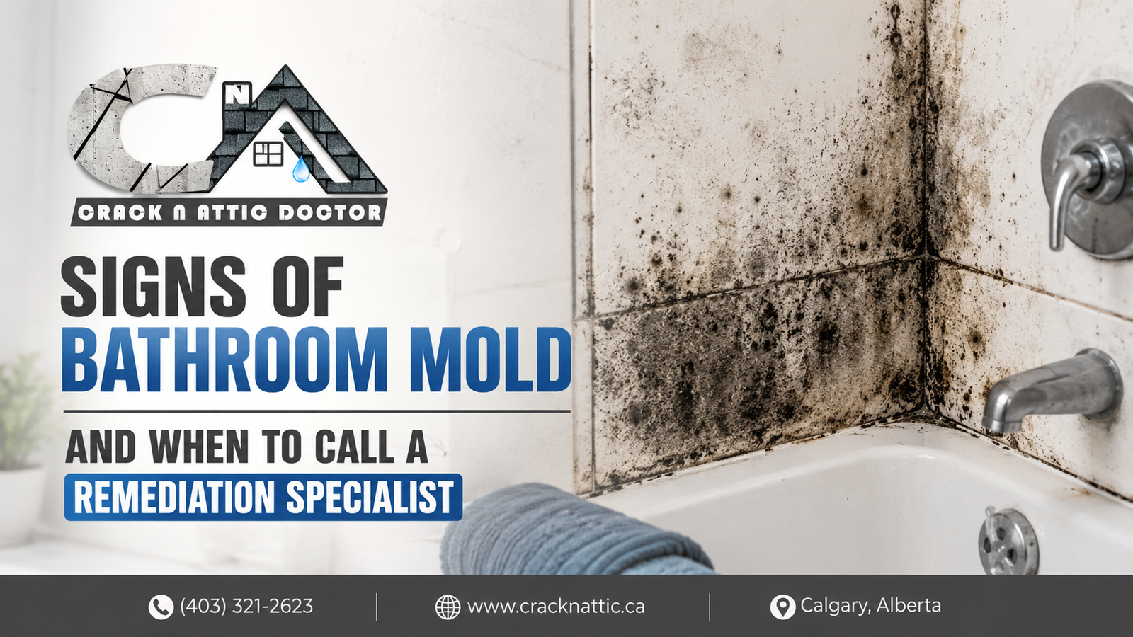 Signs of Bathroom Mold and When to Call a Remediation Specialist