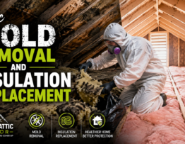 Attic Mold Removal and Insulation Replacement