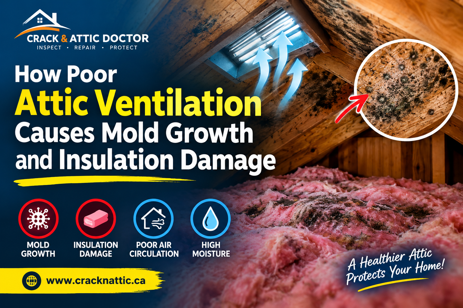 How Poor Attic Ventilation Causes Mold Growth and Insulation Damage