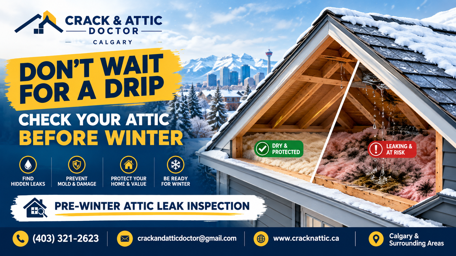 Winter Attic Leak Inspection Ad