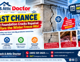 Winter Crack Repair_ Last Chance Inspection